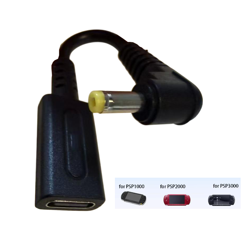 Gaming Console Types - Cavo di Ricarica USB-C 45W PD
