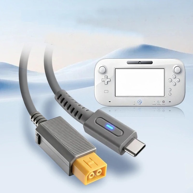 Gaming Console Types - Cavo di Ricarica Tipo C PD