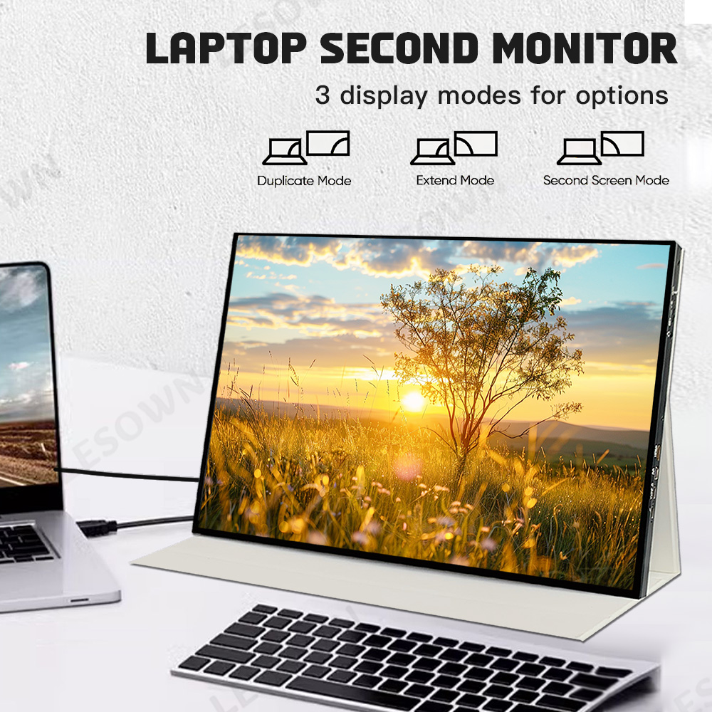 Monitor Esterno Portatile LESO - Gaming Console Under 1000 recensione e prezzo